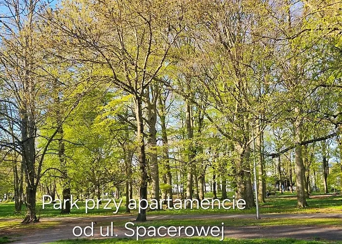 Z Garażem